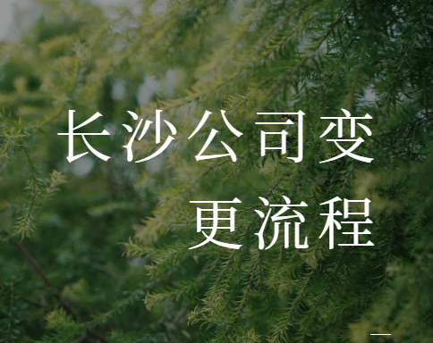 长沙公司变更流程...
